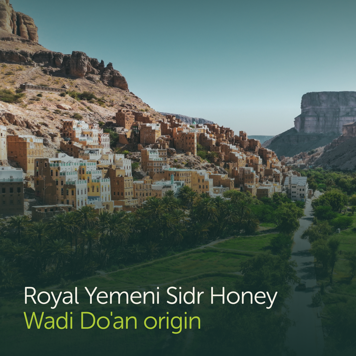 Sidr-Plus⁺ Royal Yemeni Honey Capsules